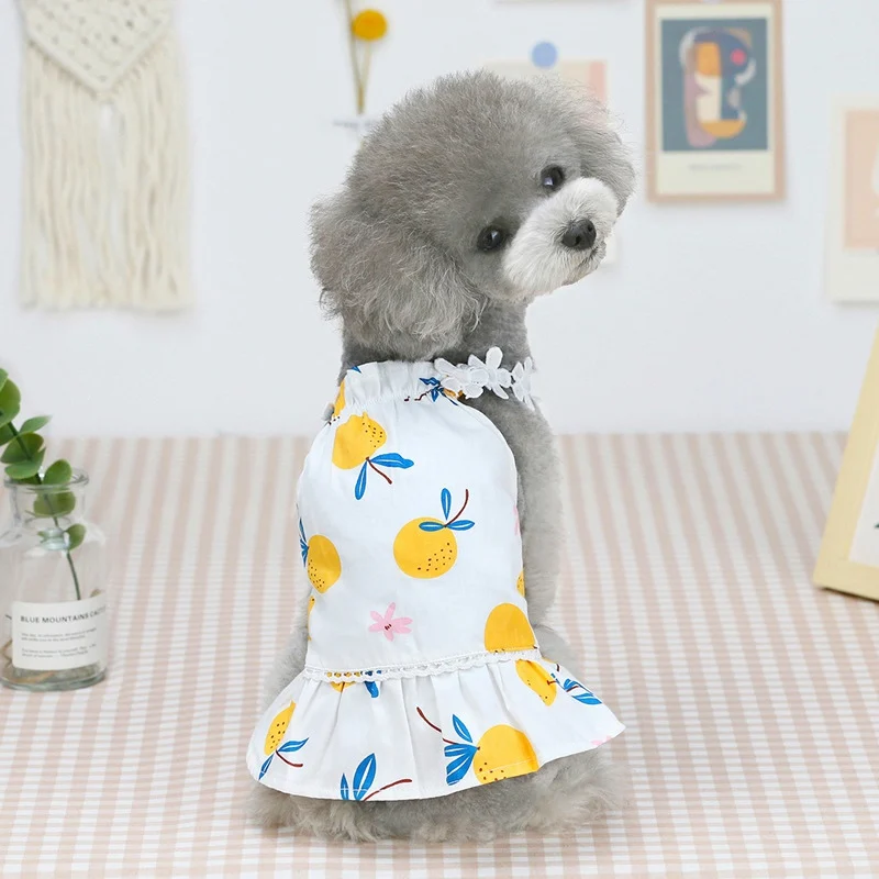 Dog Dress Skirt Summer Print Vest Pet Clothes for Small Dogs Yorkies Chihuahua Princess Dresses Puppy Clothing T-shirt