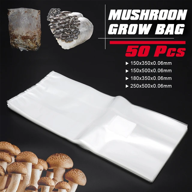 The Mushroom Grow Bag