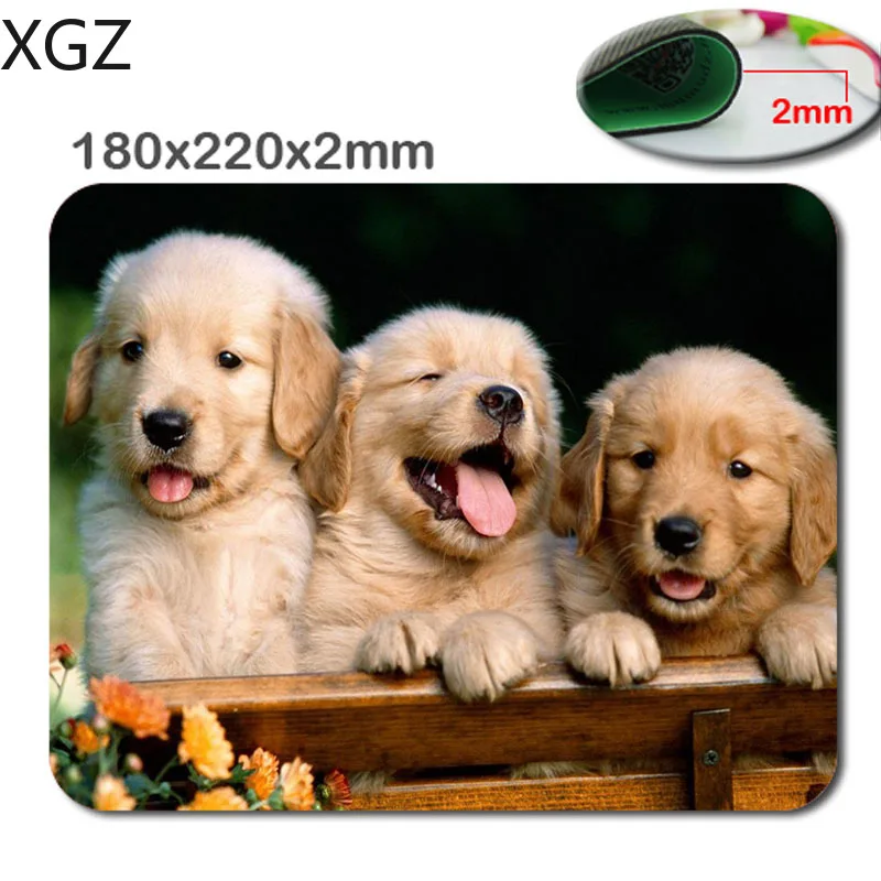 XGZ 동물 고양이 골든 리트리버 강아지 Mousepad, 직사각형 마우스 패드 220*180*2mm 사무용품 및