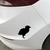 Exterior Accessories
