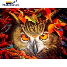 PhotoCustom diy Picture By Number owl Animals Handpainted Acrylic Home Decor Oil Painting By Numbers Gift Drawing
