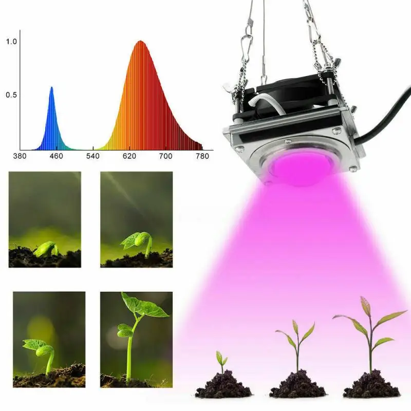 Phytolamp Led IP44 гидропонный светильник для выращивания, светодиодный светильник для выращивания, полный спектр, 220 В, УФ лампа для растений, цветов, рассады, ЕС, Австралия, Великобритания, США