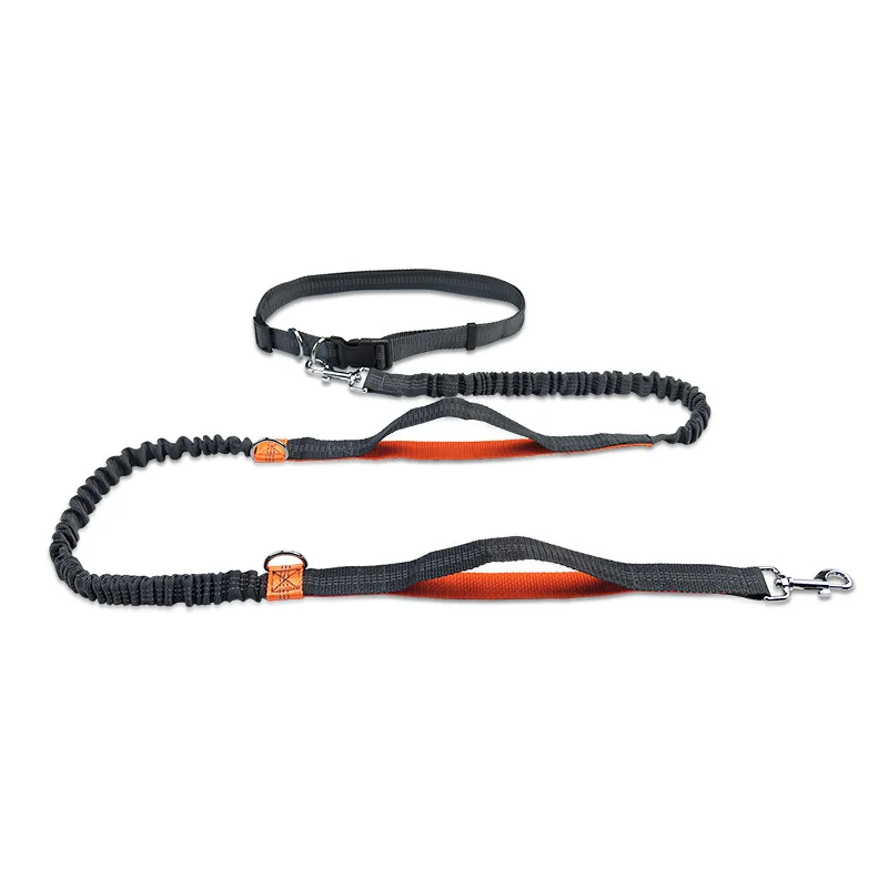 Retractable Hands Free Dog Leash with Duals Bungees for Running Walking Hiking DTT88