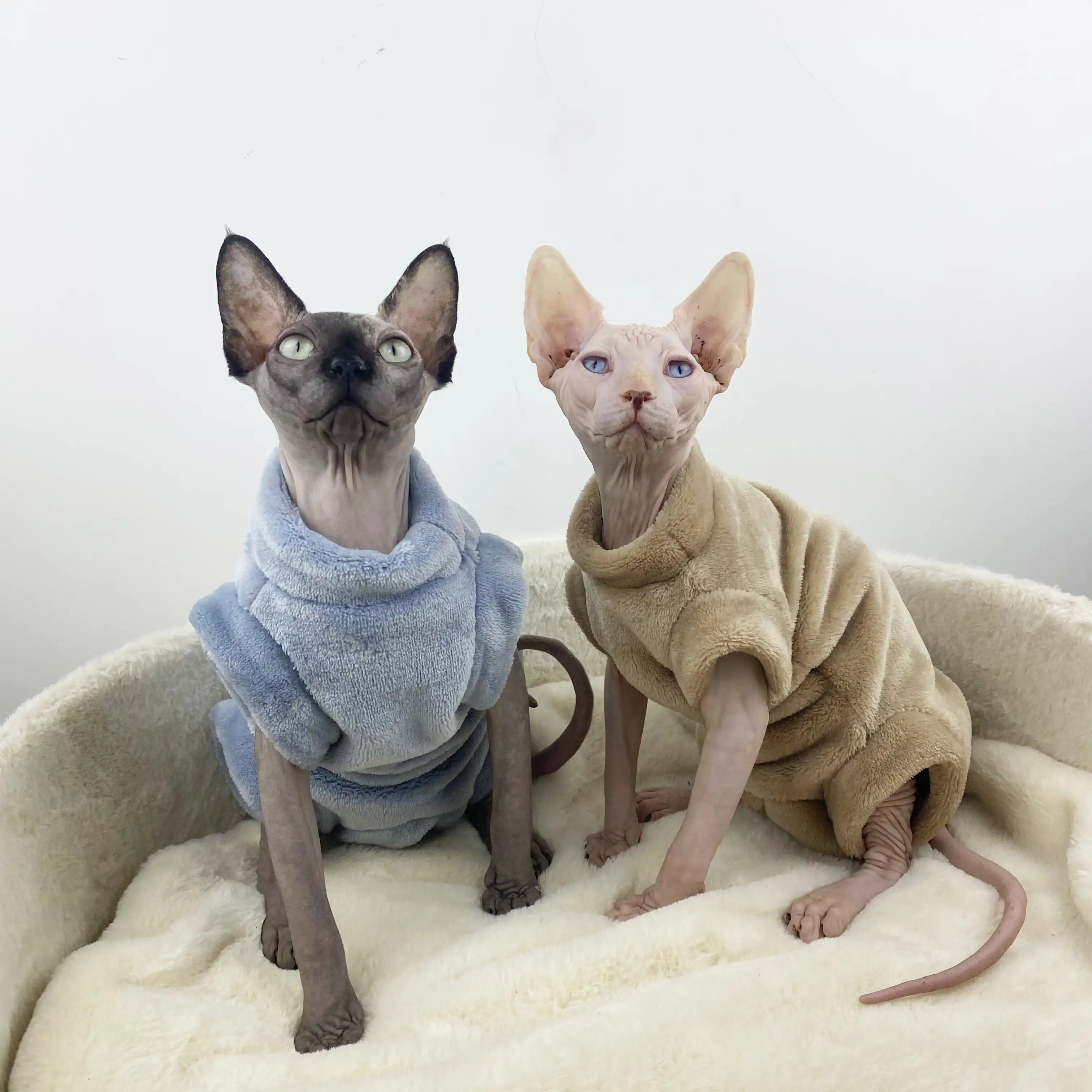 Sphinx Vetements D Hiver En Flanelle Pour Chat Sans Poils Chauds A Quatre Pattes Aliexpress