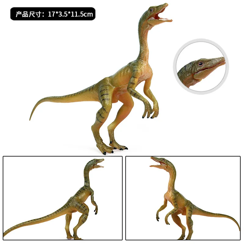 

Jurassic Model Solid Static Dinosaur Show Jaw Dragon Model Toy T-Rex Dinosaur Animal Plastic Model