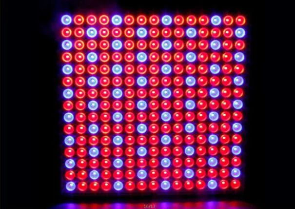 QQ截图20191130190555