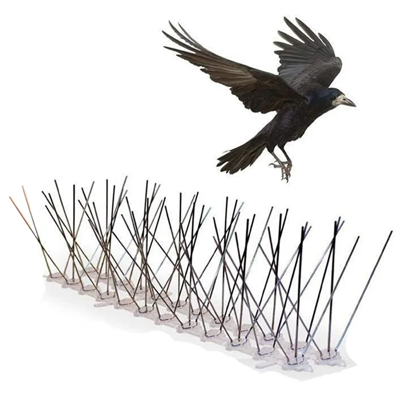 

Stainless Steel Bird Spikes Kit, 10 Feet (3 Metre). Perfect Bird Gel Deterrent