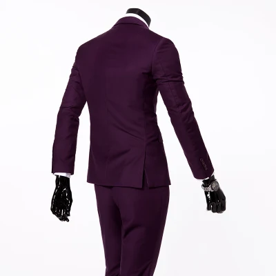 Purple 2 button Пиджак+ жилет+ брюки) весенние Мужские приталенные деловые костюмы из трех предметов мужские вечерние костюмы жениха/мужские свадебные блейзеры - Цвет: Purple 2 button