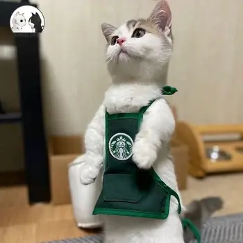 

Catbucks Cat Clothes Funny Dog Belly Protection Clothing Fashion Corgi Bulldog Dog Cat Apron for Cat Outdoor Protection Clothing