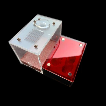 

Red Ant Farm Acrylic and Gypsum Ant Cottage Workshop Ant Nest Composed of Gypsum Reptile Terrarium