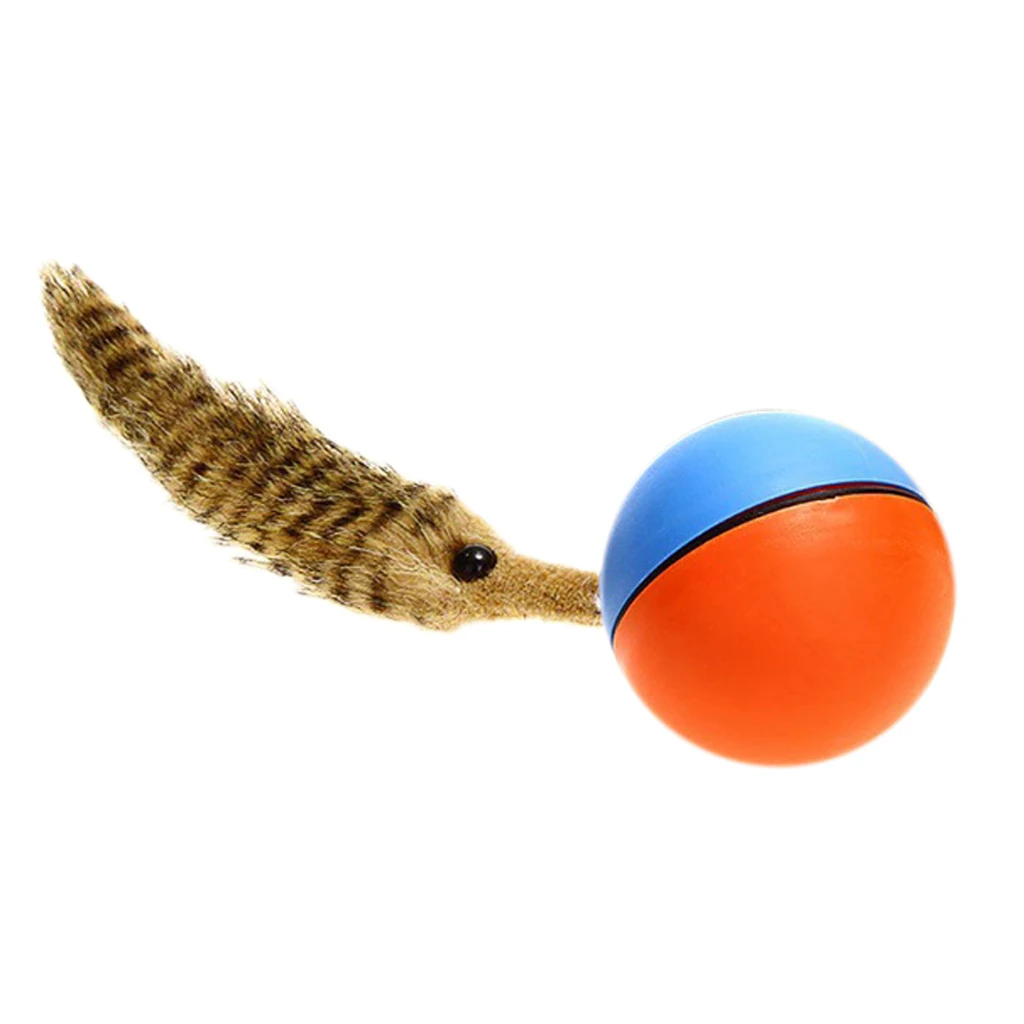 doggie tail dog toy