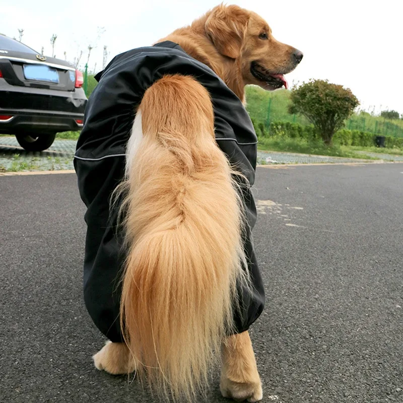 ao ar livre para cães, Reflexivo Rain