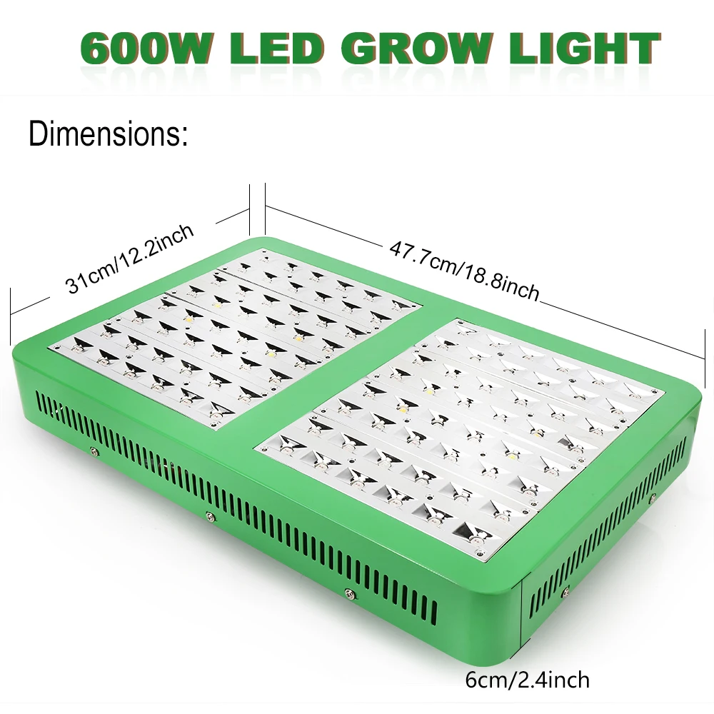 200w chicun