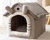 Gray Cat