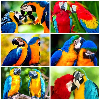 

HUACAN 5D DIY Diamond Painting Parrot Animal Home Decoration Embroidery Full Square Drill Art Kits Lover Gift