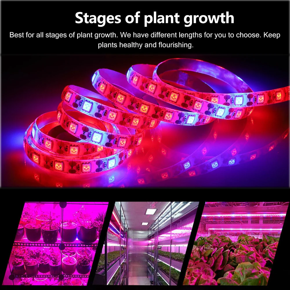DC12V LED Grow Light Full Spectrum Grow Light Strip 0.5m 1m 2m 3m 5050 SMD LED Phyto Tape for Seed Plants Flowers Greenhouses