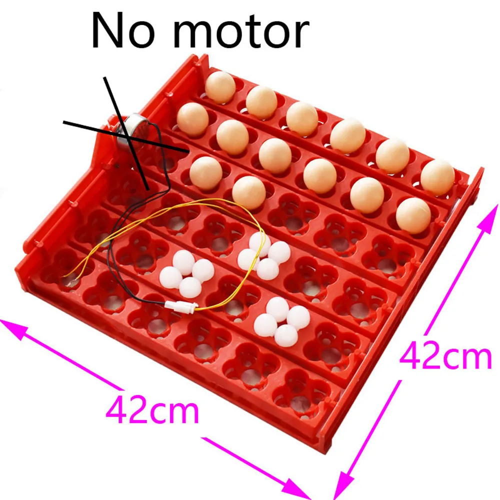 No motor