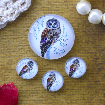 

12mm 25mm 14mm 16mm 18mm 20mm Photo Glass Cabochons Round Cameo Set Handmade Settings Stone Owl 041