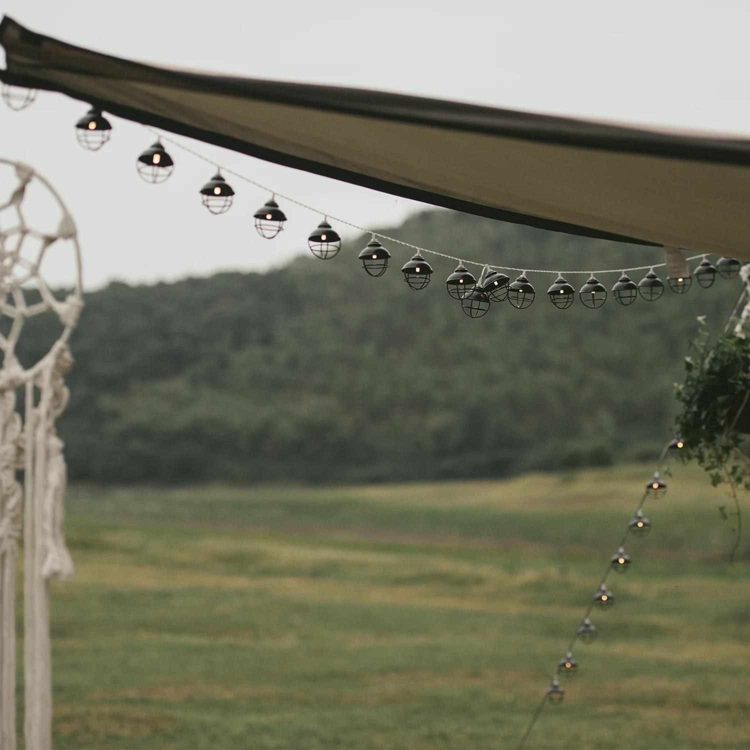 Hb48d337f80d94a52b49de017d2237