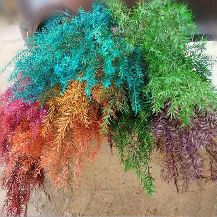 1 букет из цветочных веток Melaleuca Bracteata 100 г венок гирлянда материал для