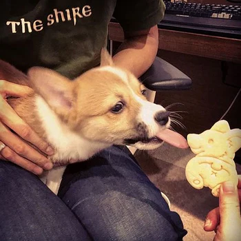 

3Pcs/Set DIY Biscuit Baking Tool Cute Corgi Dog Shaped Cookie Cutters Mold Kitchenware Bakeware Tool For Kids Hand Mold
