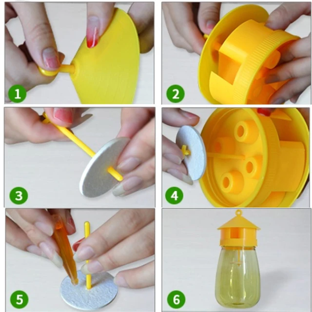 1 Pc Wasp Fly Trap Fruit Légy Rovar Hibás Lógó Méz-Csapda Fogó Gyilkos No-Poison Függő Fa Kártevőirtó Szerszám - Image 3