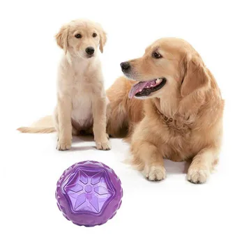 

Pet Dog Vinyl Vocal Bite-resistant Interactive Glowing Round Ball Toy Purple