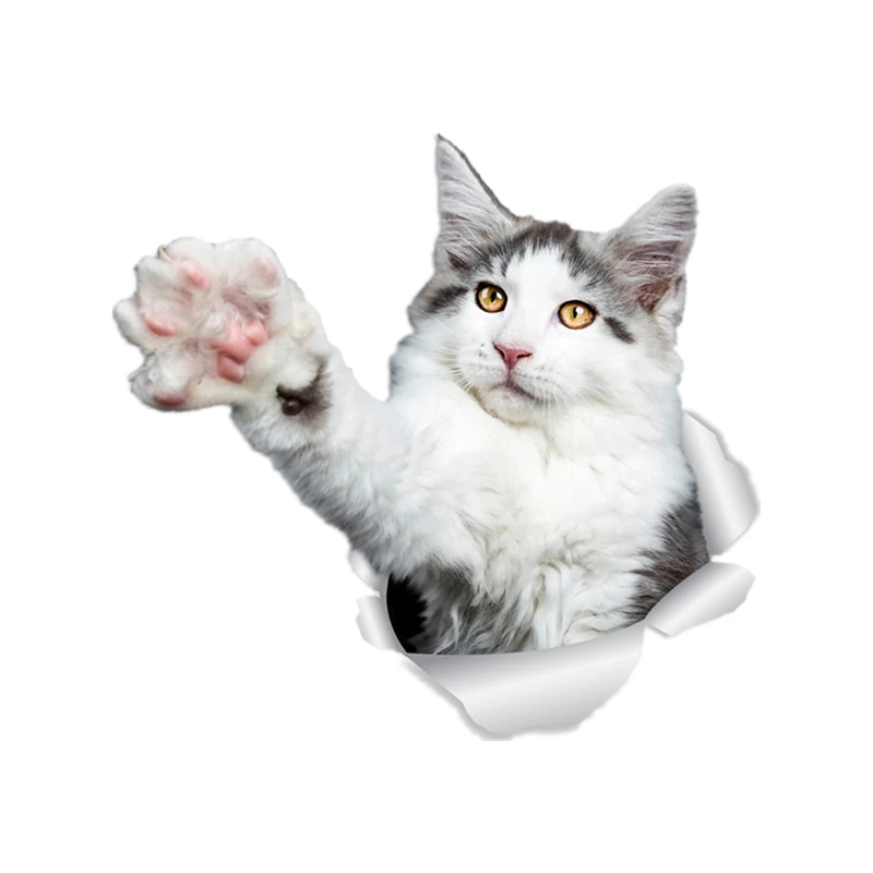 

S30976#Various Sizes Self-adhesive Decal REACHING MAINE COON CAT Car Sticker Waterproof Auto Decors on Bumper Rear Window Laptop