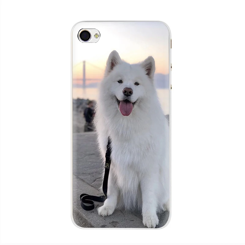 H9 Милая собака самоед Жесткий Чехол Для Телефона iPhone 5 5S 6 6s 7 8 plus X XR XS 11 Pro Max - Цвет: H9