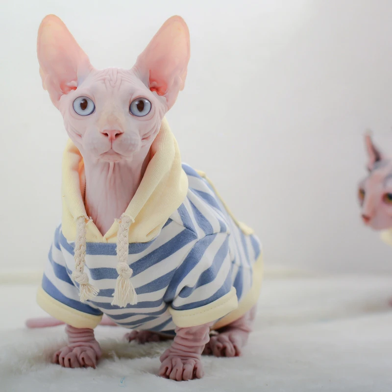 스트라이프 고양이 옷 겨울 따뜻한 코튼 새끼 고양이 후드 티 소프트 스핑크스 의상 스핑크스 고양이 자켓 코트 작은 중형 개 고양이