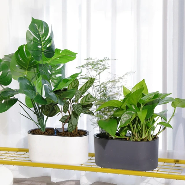 Kreatív Automatikus Önmagában Lévő Műanyag Növényi Edény Vízszint Jelzőpadlótáblával Asztallap Virágcserepő-Ültetvényes Csúszásgátló Wo - Image 5