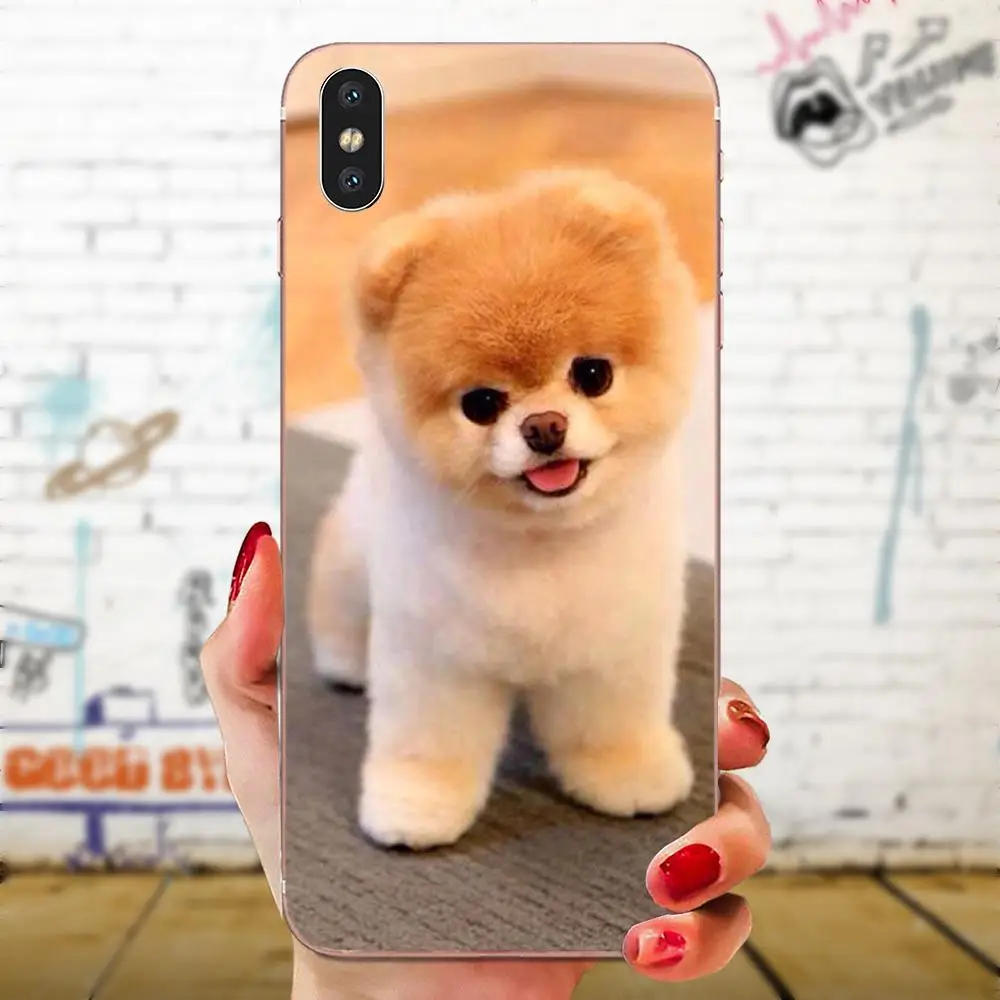 Чехлы для задней панели тонкий шпиц собаки для sony Xperia Z(Сони Иксперия З) Z1 Z2 Z3 Z4 Z5 компактный мини M2 M4 M5 T3 E3 E5 XA XA1 XZ премиум-класса