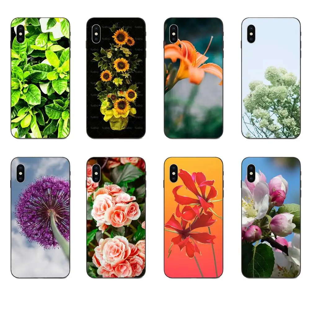 Luxury Cell Phone Case Plant Flowers Green Bunny Ears Cactus For Apple iPhone 4 4S 5 5S SE 6 6S 7 8 11 Plus X XS Max XR Pro | Мобильные