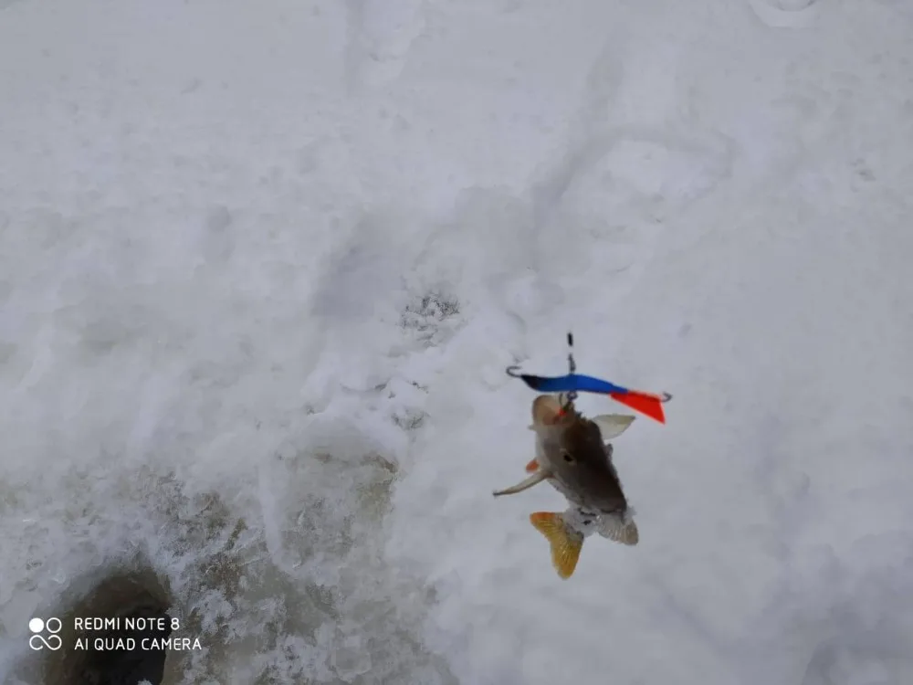 U5c04dc54331a44d5941fa20e1f0f3d53J