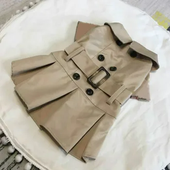 

Pet autumn and winter season windbreaker jacket ladies dog and expensive cat wearing a sweater button worn poodle elegant clothe