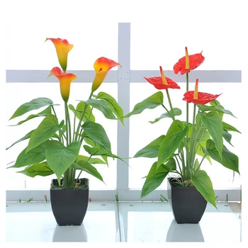 

Potted plants Calla lily flower Artificial flower Wedding birthday party banquet Home decoration mini flower Photography props