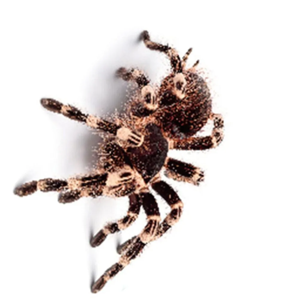 JK1094504-C-20090203-1