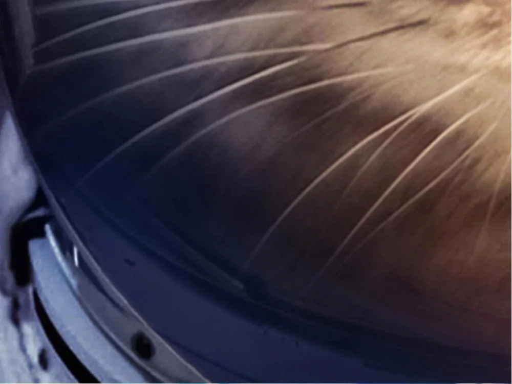 QQ截图20200105173245