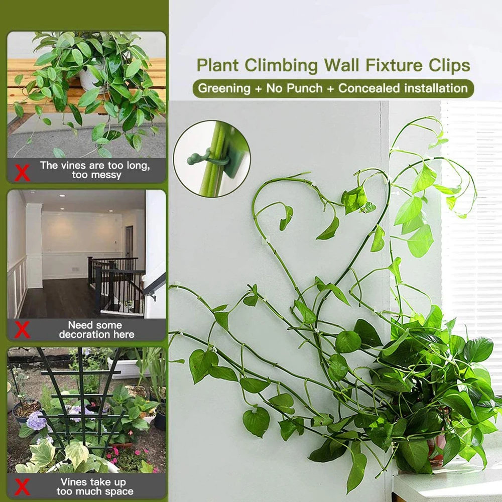 Plant Climbing Wall Self-Adhesive Hook Fixture Clips Invisible Rattan Clamp Fixture Wall Sticky Hook Plant Support 30/50PCS plant clips plastic plant clips plant adhesive hooks plant wall hooks