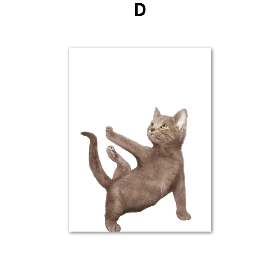 Wall-Art-Canvas-Painting-Funny-Cat-Gymnastics-Kitty-Nordic-Posters-And-Prints-Wall-Pictures-For-Living (7)