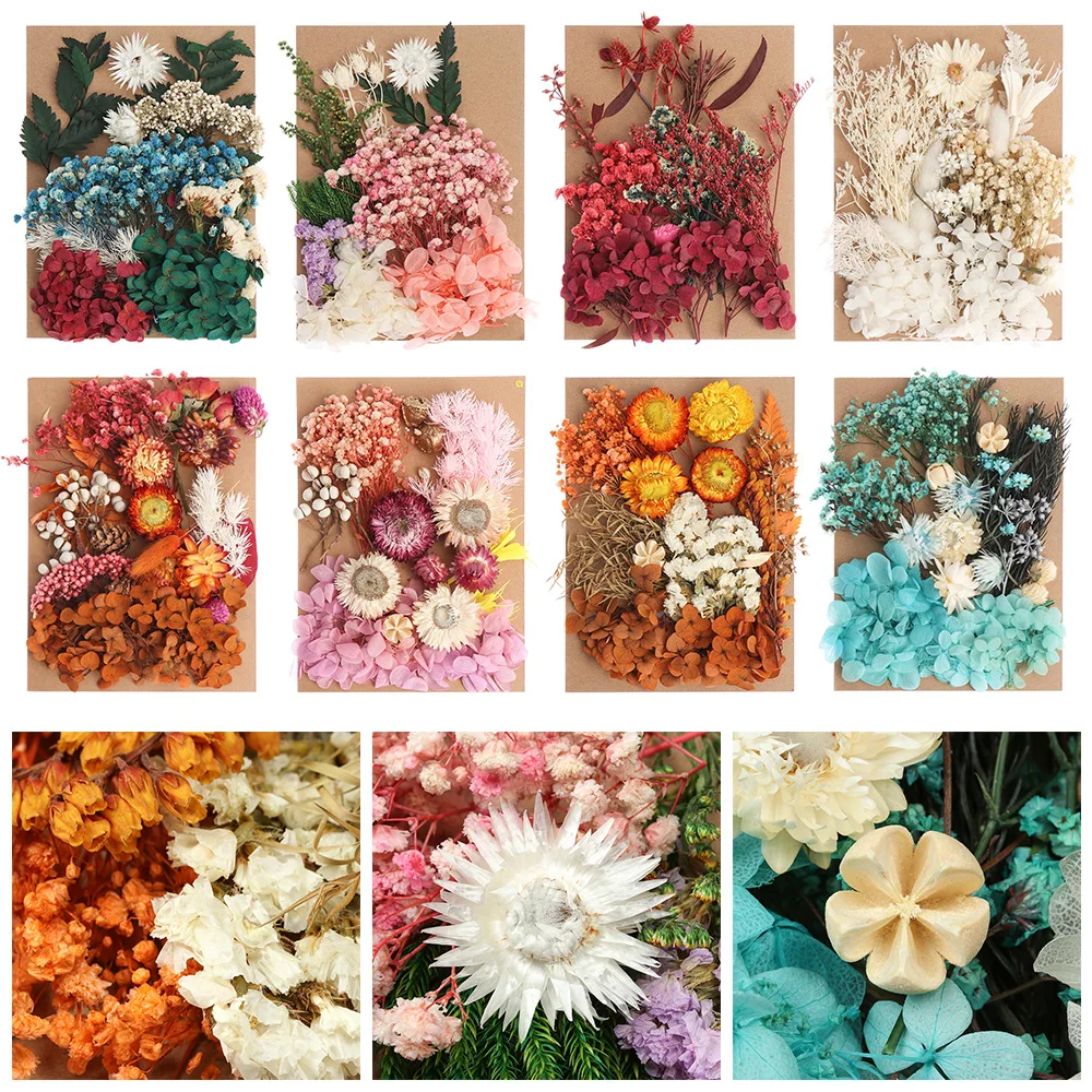 

2Packs/Set Aromatherapy Candle Natural Plants Dried Flowers Real Manual Plant Painting Pressed Dry Decor Flower DIY Art Craft