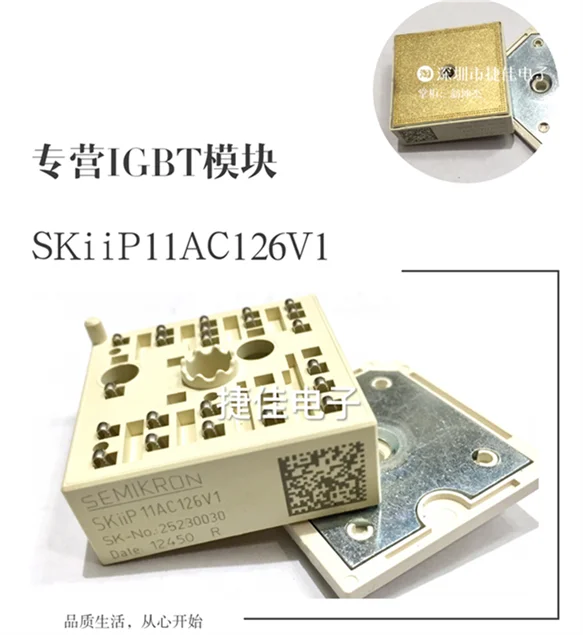 SKIIP13AC126V1 SKIIP12AC12T4V1 SKIIP11AC126V1 SKIIP11NAB126V