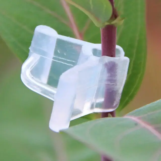 50Db / Beállított Kerti Oltó Bilincs Műanyag Átlátszó Zöldség Növényi Növény Kertészeti Ékszer Szerszám - Image 5