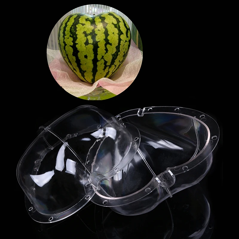 Пластиковая форма для выращивания арбуза в форме сердца 1 шт.|garden grow|plastic gardengarden