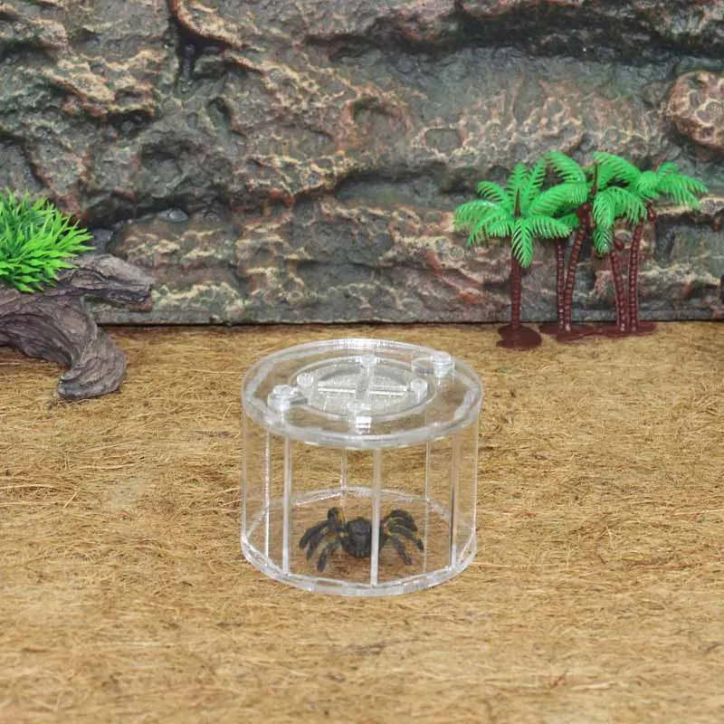 Insect Ornamental Box Reptile Breeding Box Holding Acrylic Eight-Sided Ornamental Transparent Reptile Terrarium