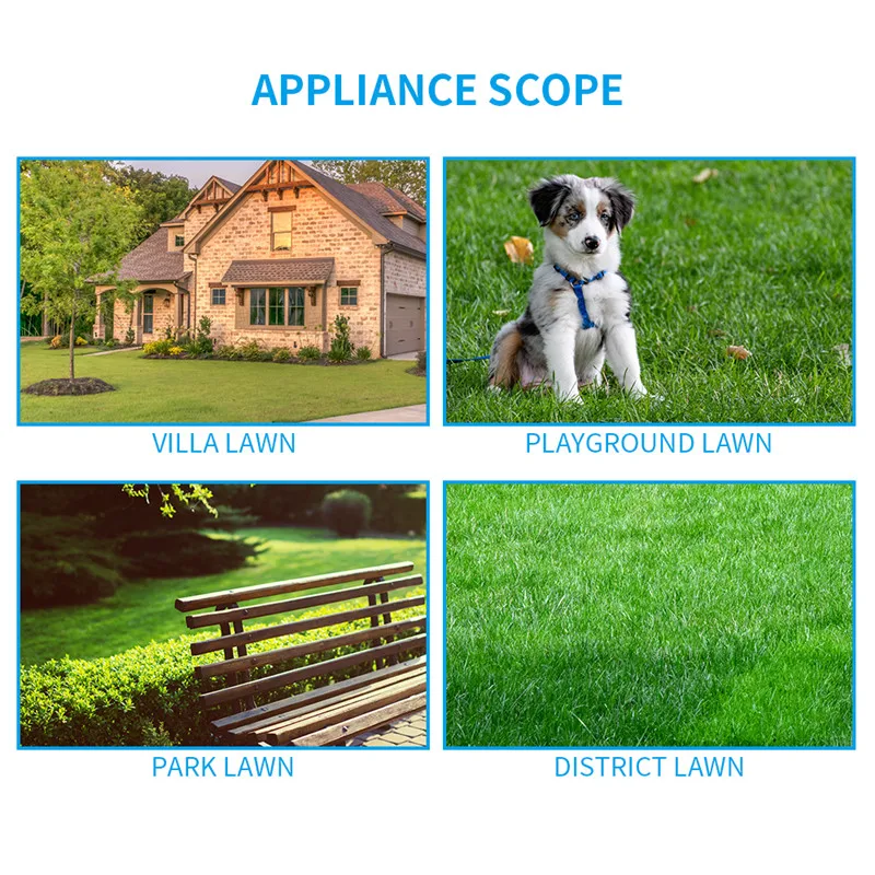 Wire Wheel Brush (4)