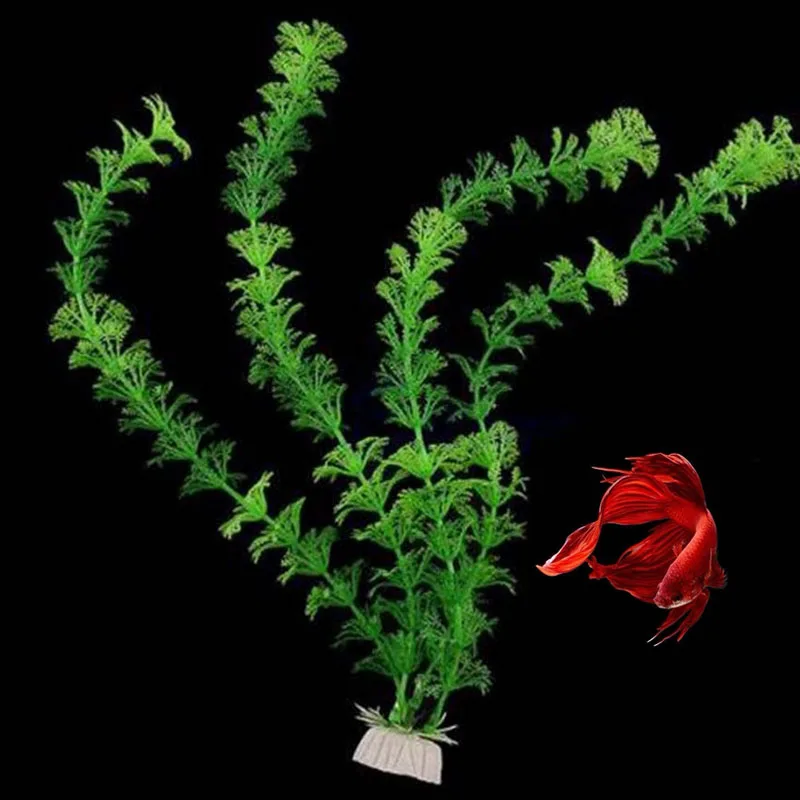 HTB1P5BNCpmWBuNjSspdq6zugXXa2