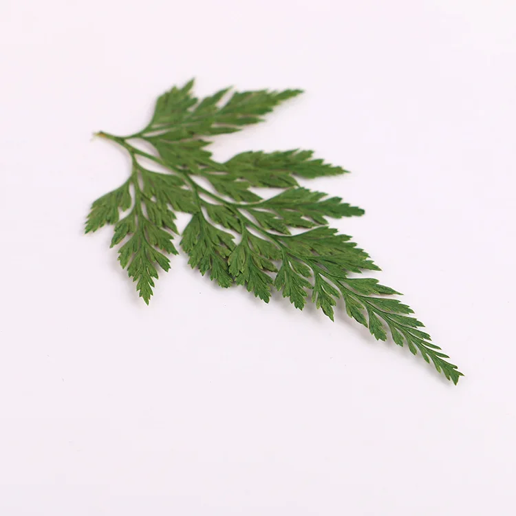 4414776500_448688674