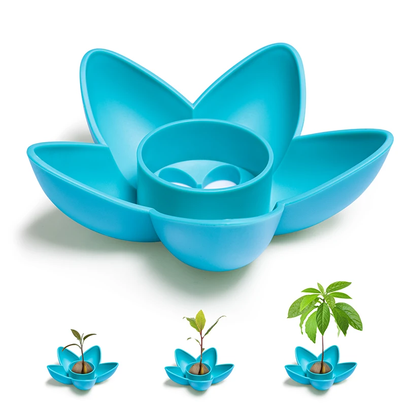 Набор для выращивания растений в саду и на кухне | Дом сад