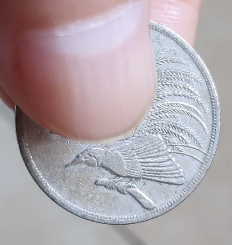 24 мм большая райская птица, настоящая монета, оригинальная коллекция